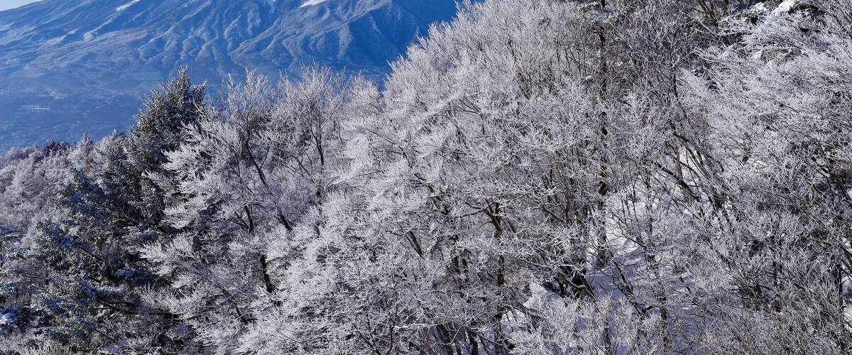 A snow-covered mountain with a clear sky.