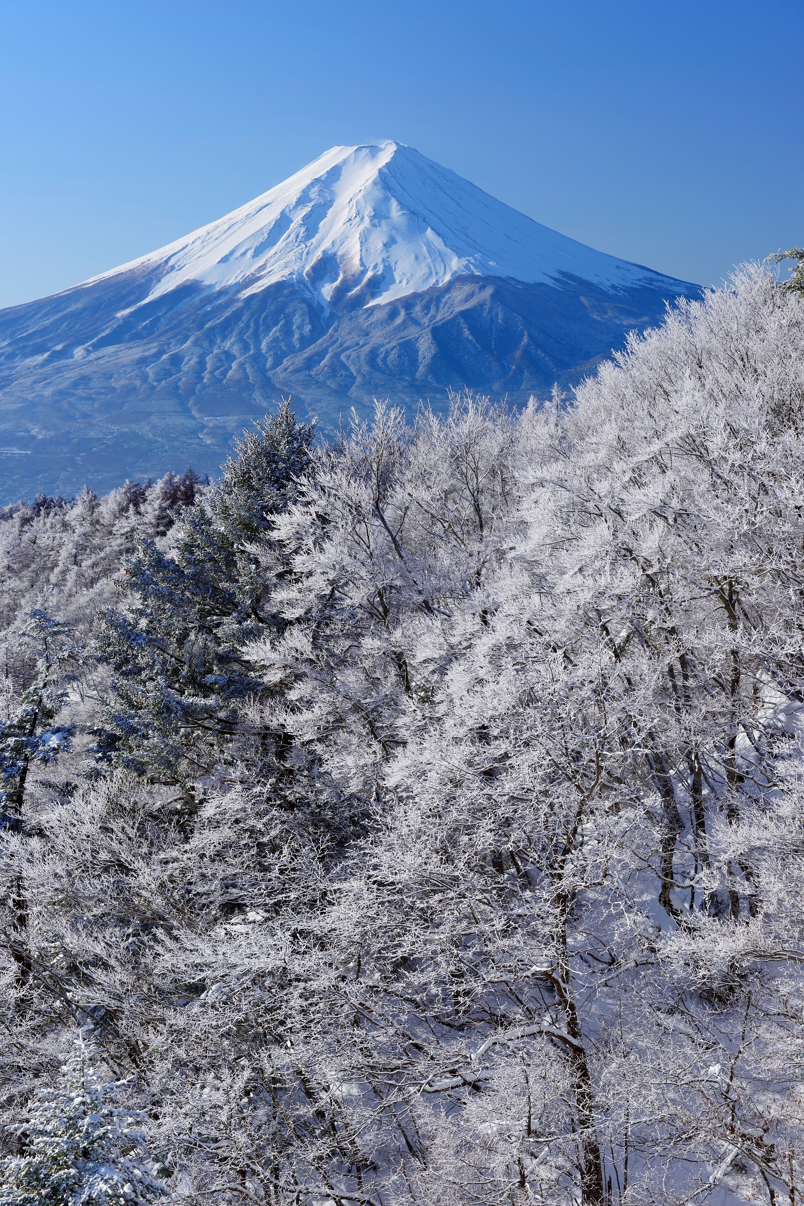 Fog and ice on Mt. Fuji seen from Mitsutoge , Japan,Yamanashi Prefecture,Minamitsuru District, Yamanashi,Fujikawaguchiko, Yamanashi,Nishikatsura, Yamanashi,Tsuru, Yamanashi January 2015