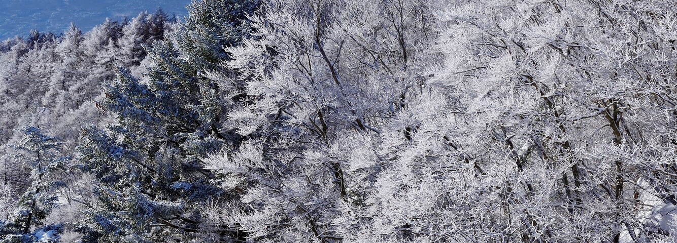 Montanha coberta de neve com céu claro.