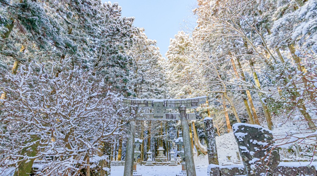冬の英彦山神宮 福岡県田川郡 Hikosan Jingu in winter Fukuoka-ken Tagawa-gun