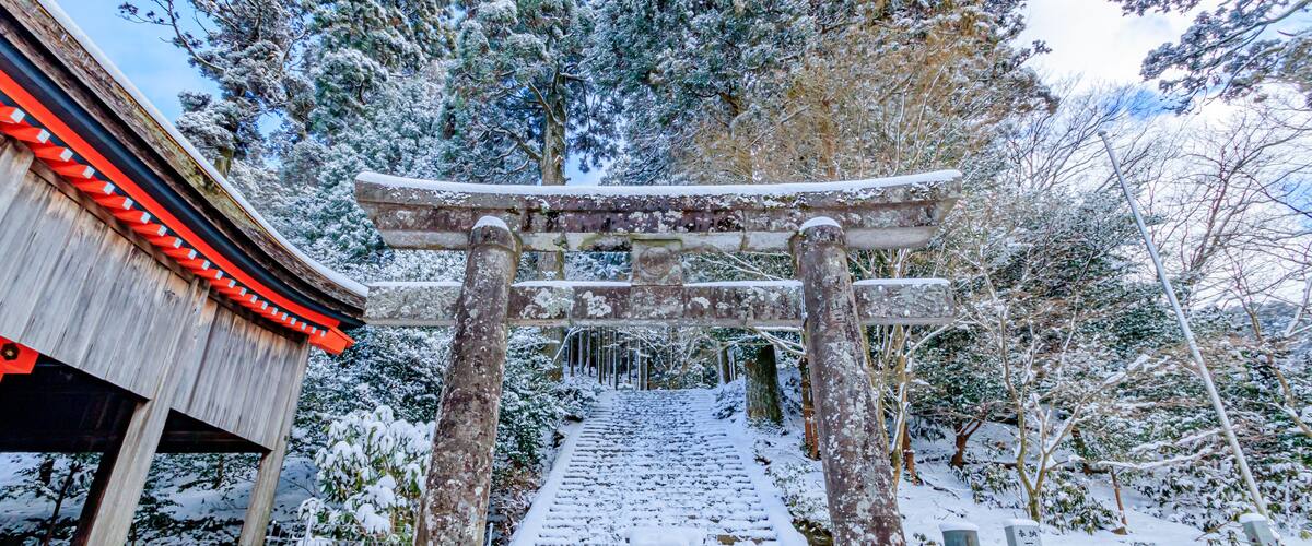 A snow-covered shrine with a traditional torii gate, wooden steps, and a stone lantern.