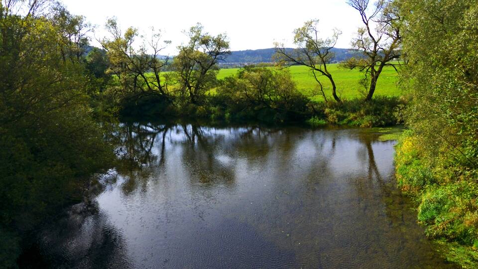 A calm river surrounded by lush greenery and trees.