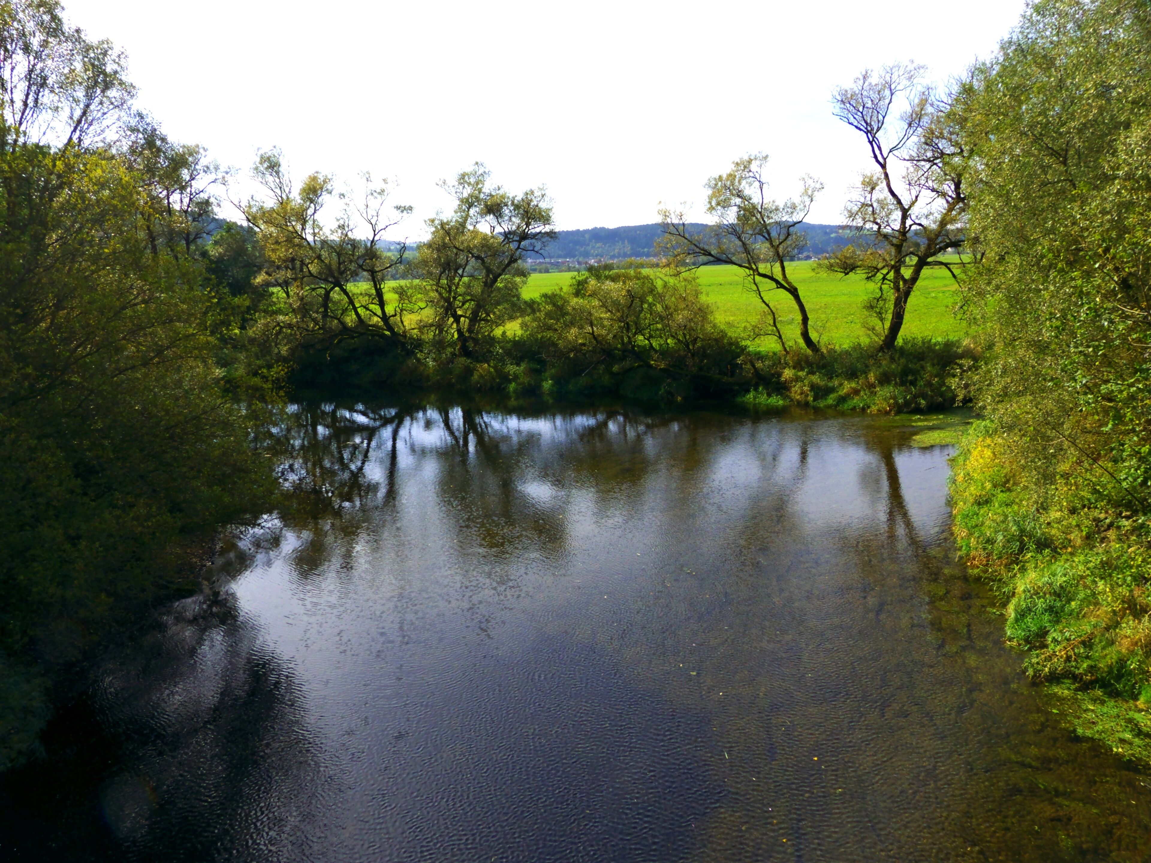 A calm river surrounded by lush greenery and trees.