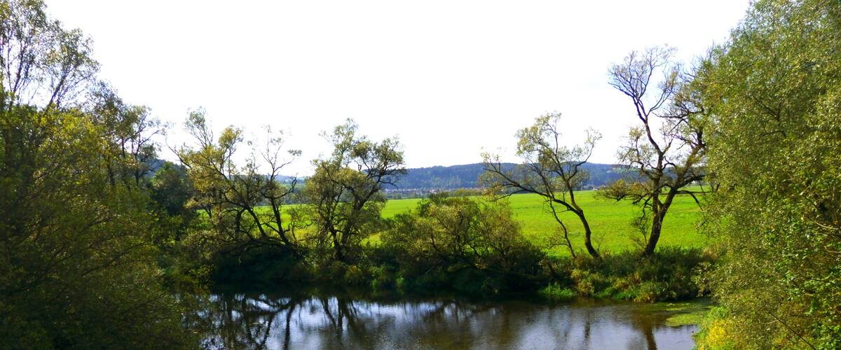 A calm river surrounded by lush greenery and trees.