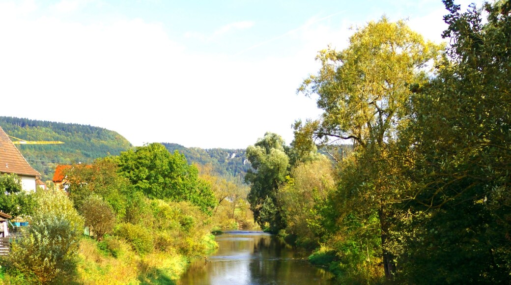 The Danube At Stetten