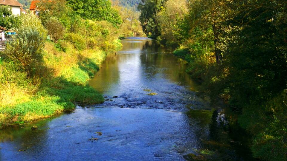 A river flowing through a green landscape with trees and a house on the left.