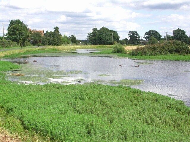 Pond at Parley Green Not seen by many members of the public, this pond is home to ducks, swans, coots and geese. It is by the road to Parley Manor Farm, which is a public footpath.