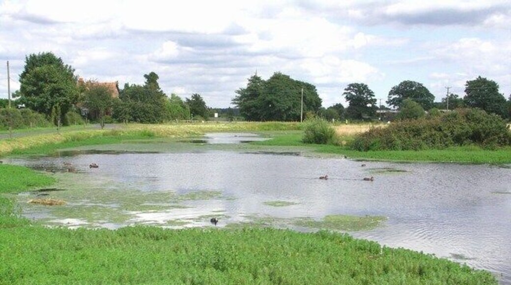 Pond at Parley Green Not seen by many members of the public, this pond is home to ducks, swans, coots and geese. It is by the road to Parley Manor Farm, which is a public footpath.