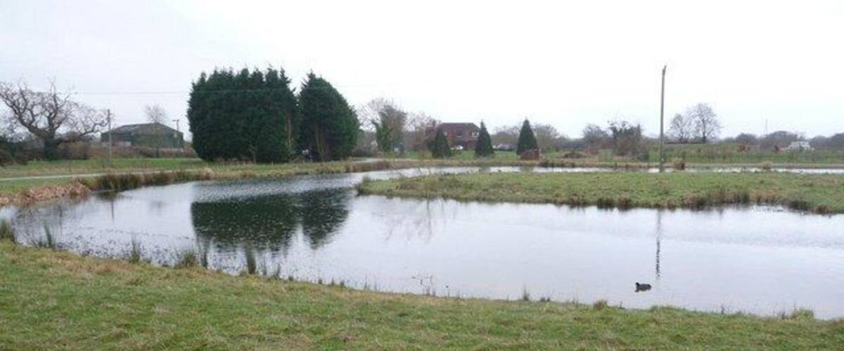 A pond surrounded by grass and trees, with a few houses in the background.