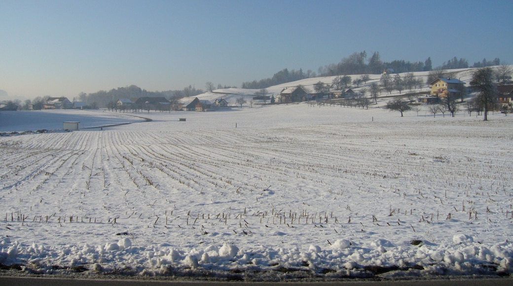 Blick von Osten Richtung Hinterhalingen.