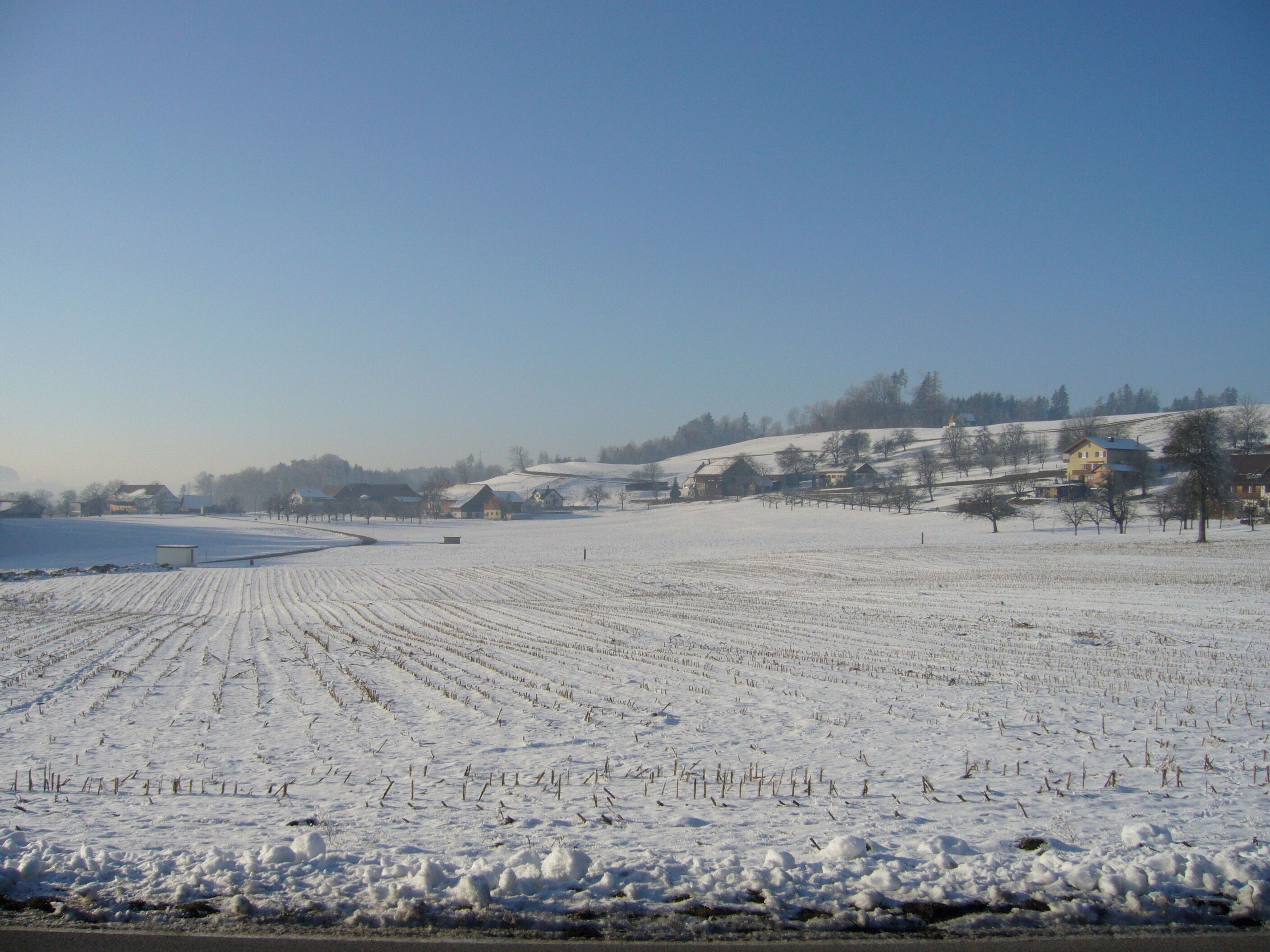 A snow-covered field with houses in the background.
