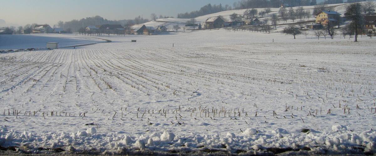 A snow-covered field with houses in the background.