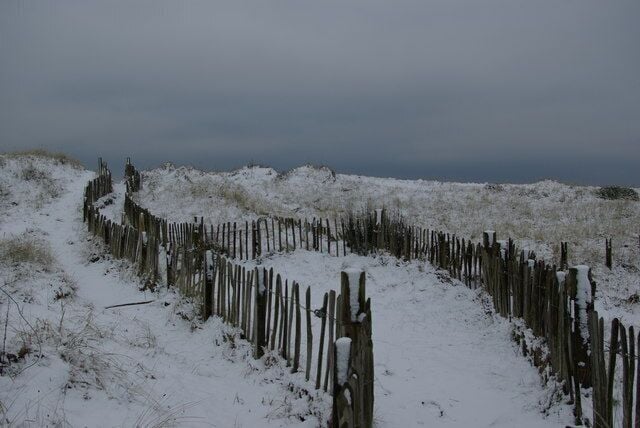 Stevenston Beach Nature Reserve Fenced footpath through the sand dunes