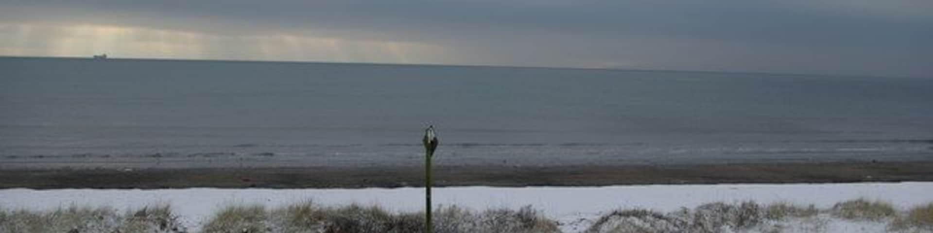 Stevenston Beach Nature Reserve Fenced footpath through the sand dunes