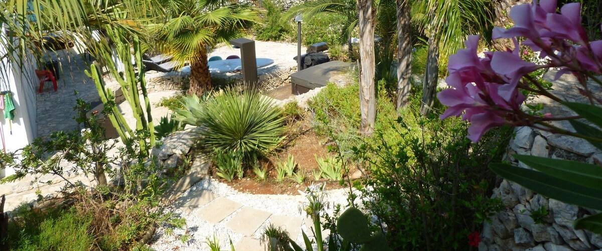 Best friends back yard. Paradise๐๐