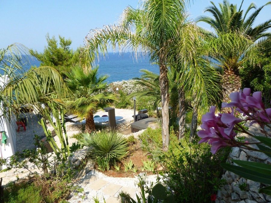 Best friends back yard. Paradiseđđ