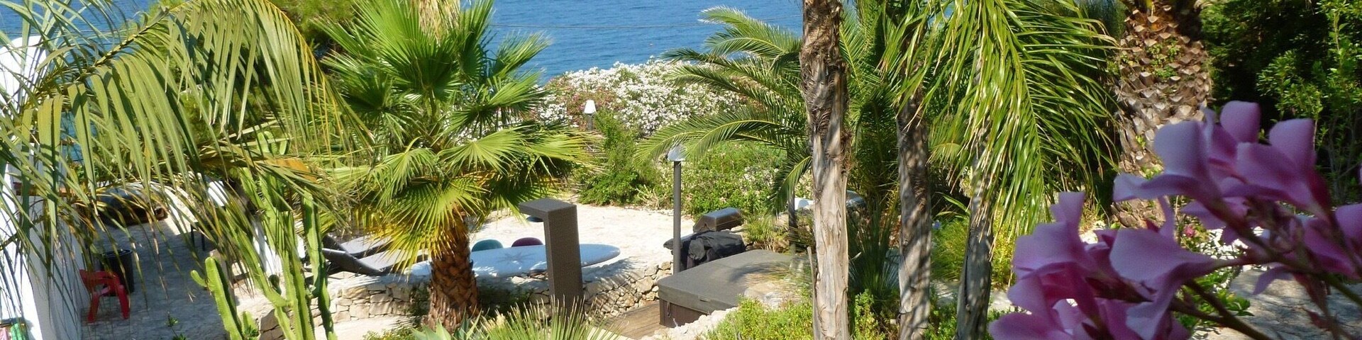 Best friends back yard. Paradiseđđ