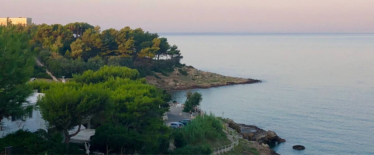 A coastal landscape with a rocky shoreline, dense green trees, and a calm sea.