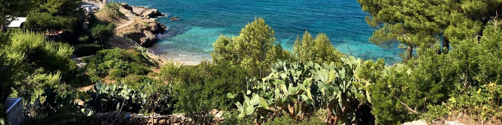 A coastal landscape with clear blue sea, rocky shoreline, and dense greenery.