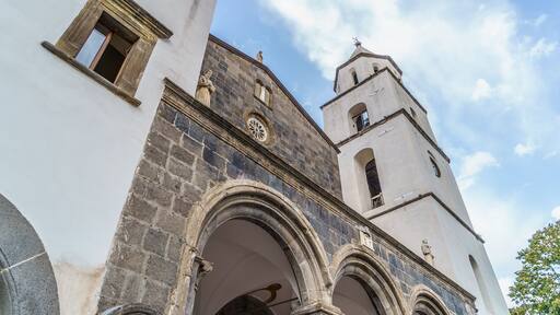 سوما فيسوفيانا