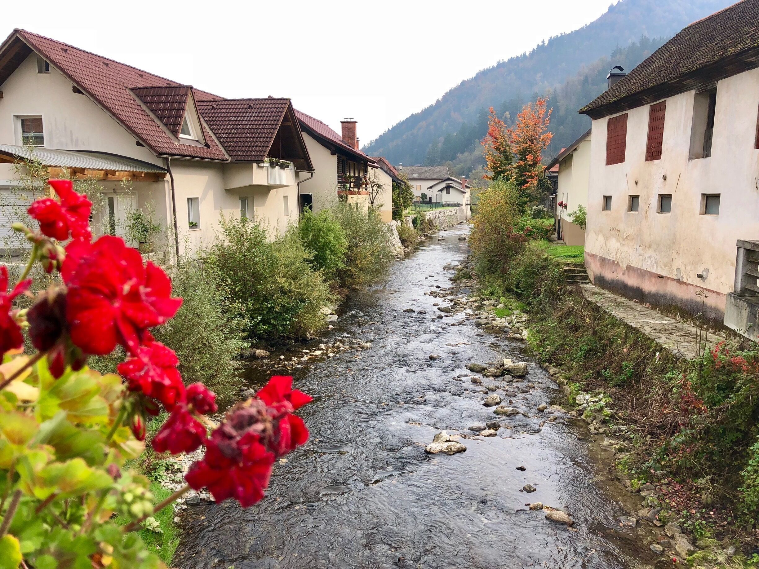A narrow stream with houses on either side, surrounded by greenery and mountains in the background.