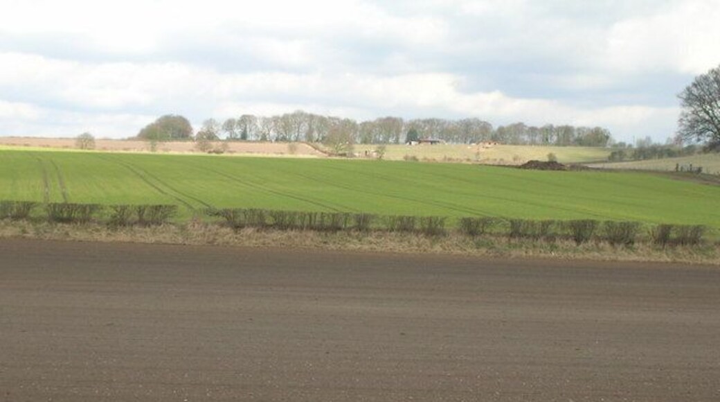 Farmland off the B6020