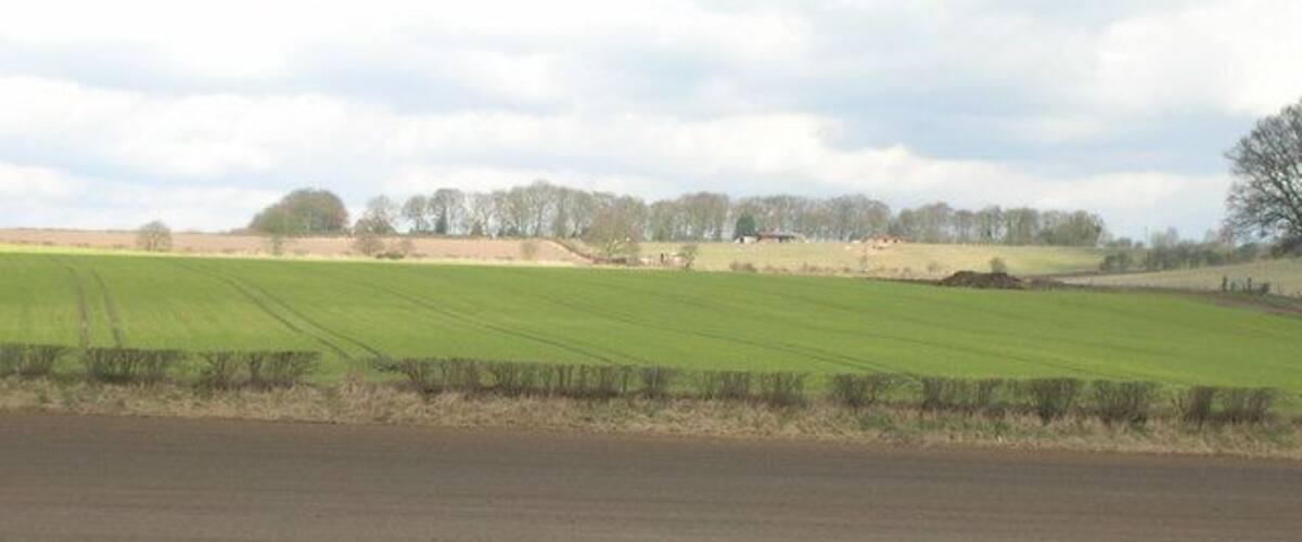 A rural landscape with a plowed field in the foreground and a green field in the background.