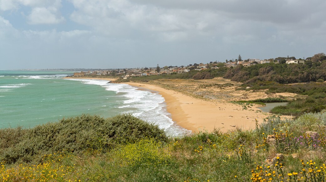 landscape and beach near Selinunt in Sicily with view to Triscina