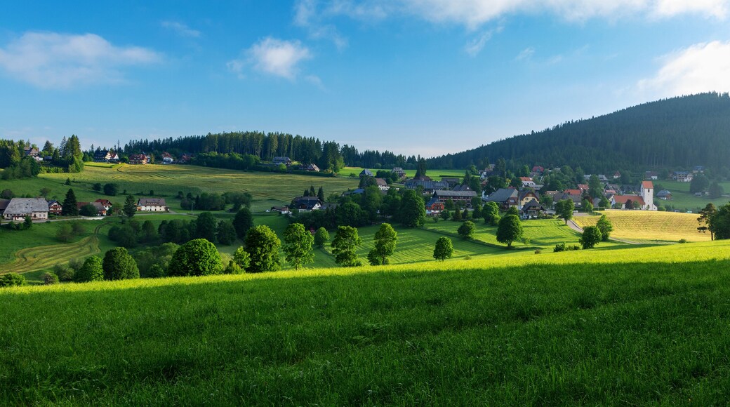 Landscape in the Black Forest