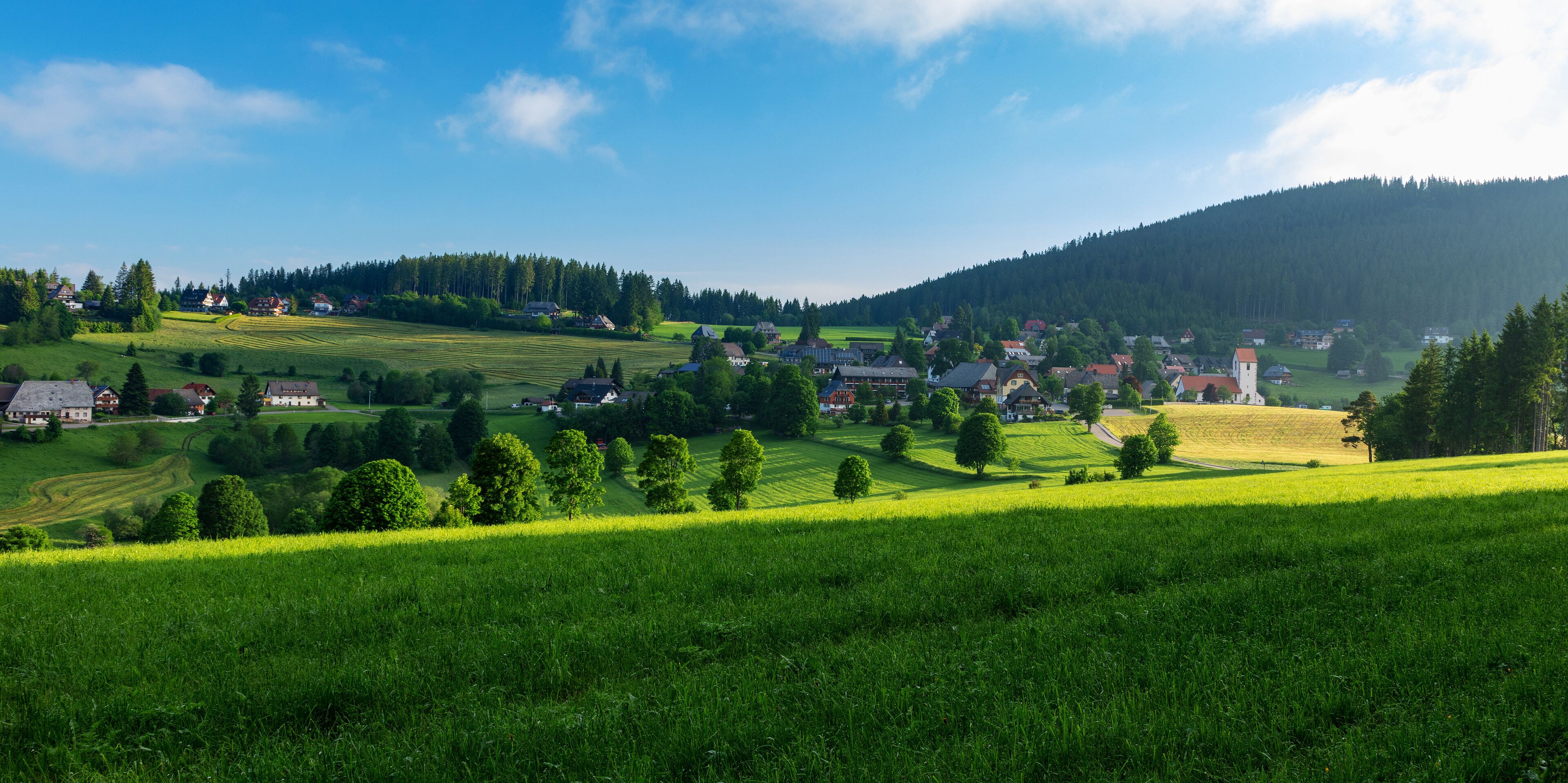 A rural landscape with rolling hills, a village, and a forested mountain.