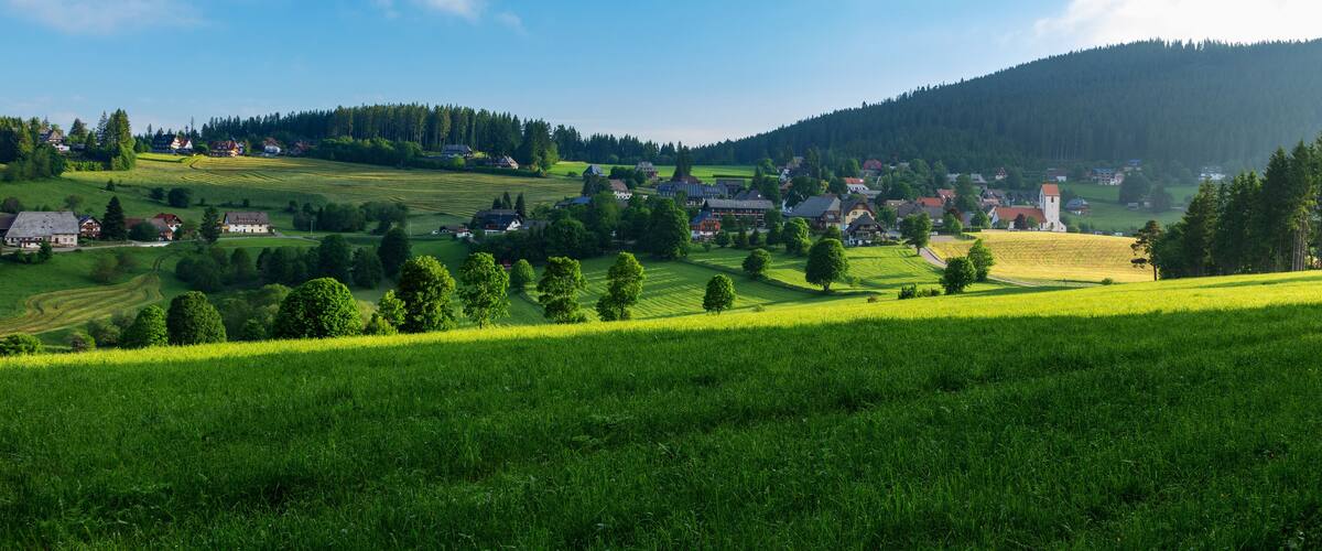 A rural landscape with rolling hills, a village, and a forested mountain.