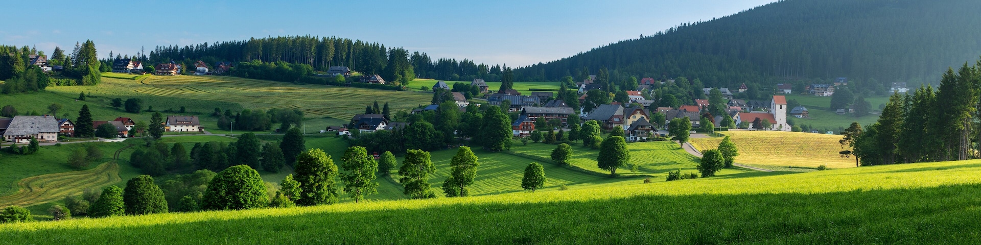 A rural landscape with rolling hills, a village, and a forested mountain.