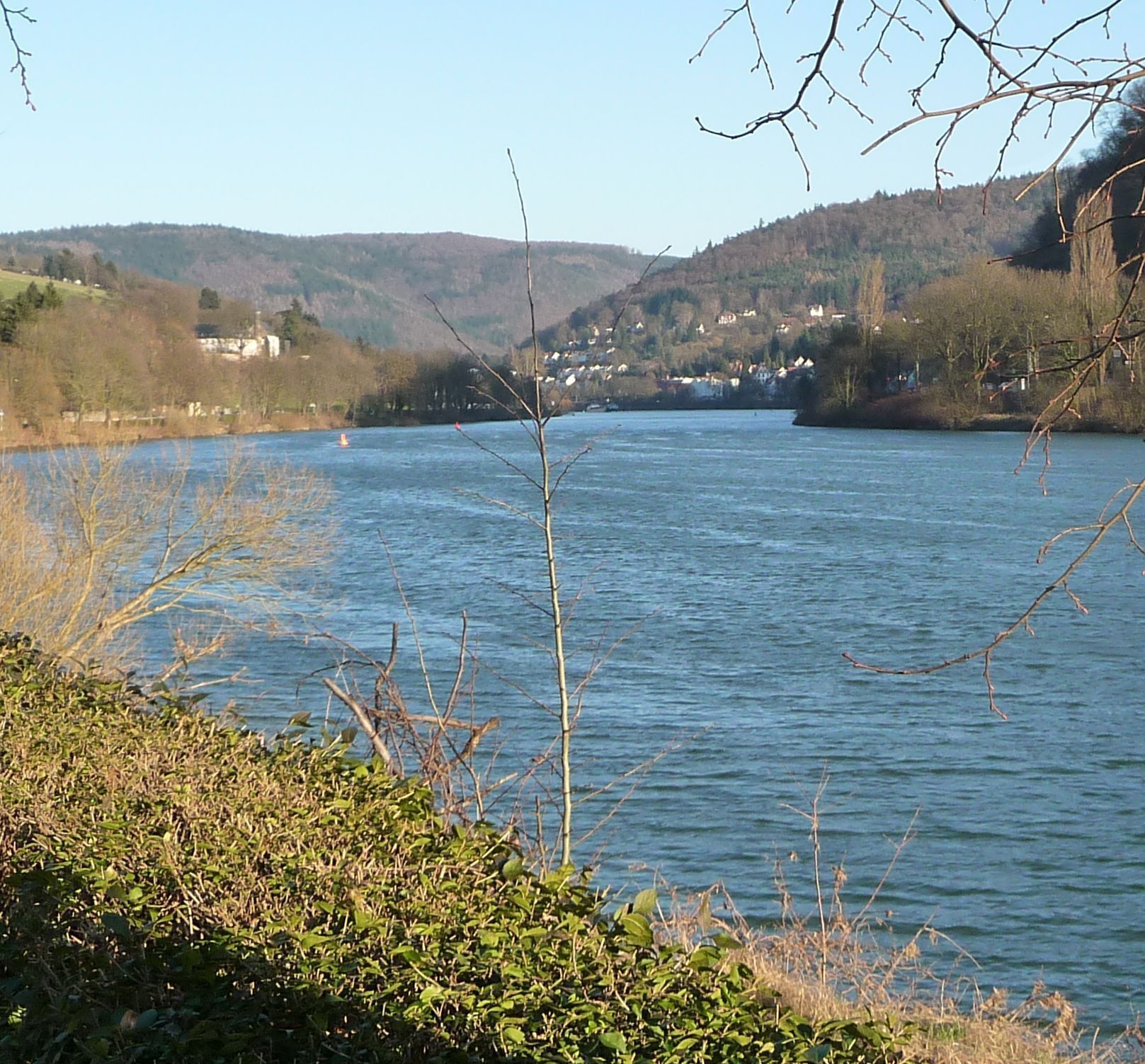 Neckar und Stift Neuburg