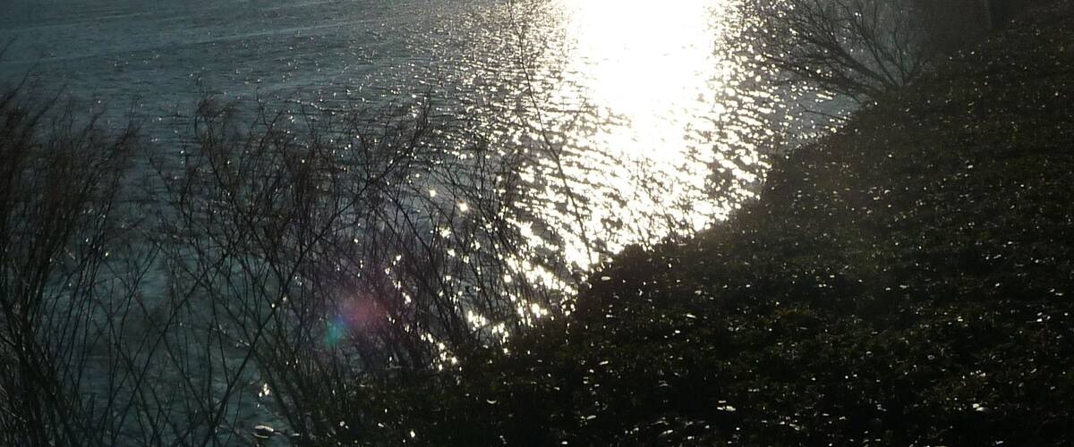 Neckar und Heilig Geist