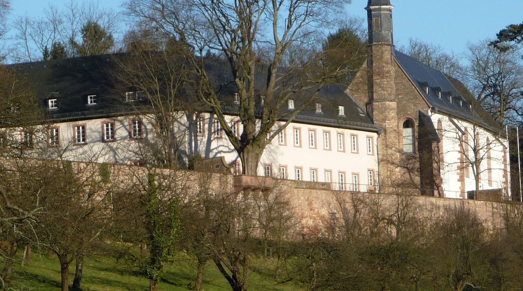 Kloster Neuburg ist weltbekannt für seine Efeusammlung.