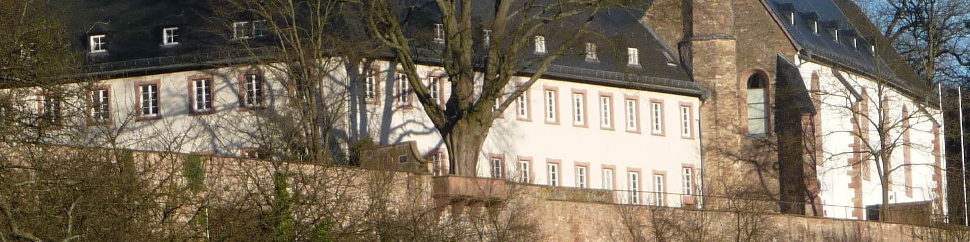 Kloster Neuburg ist weltbekannt für seine Efeusammlung.