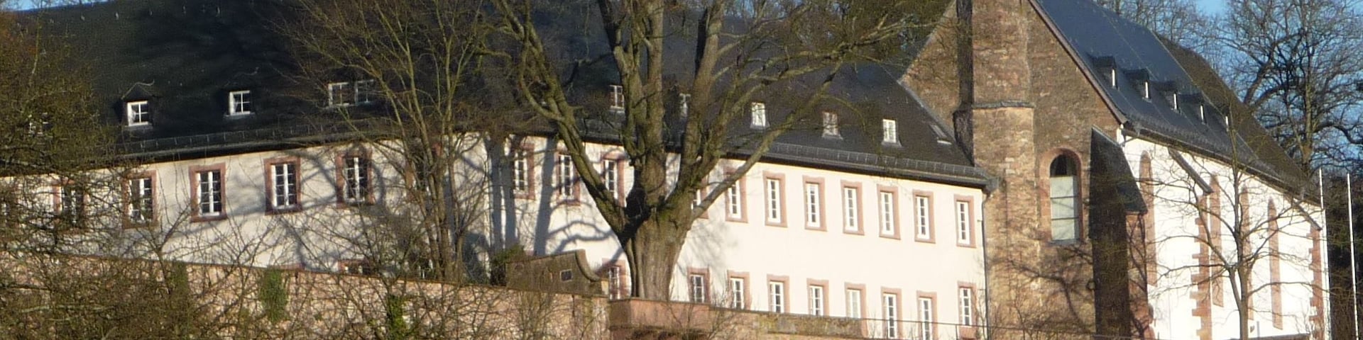 Kloster Neuburg ist weltbekannt für seine Efeusammlung.