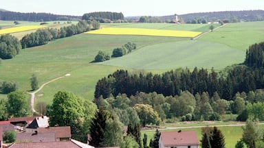 Pleystein, view from the Kreuzberg to Miesbrunn