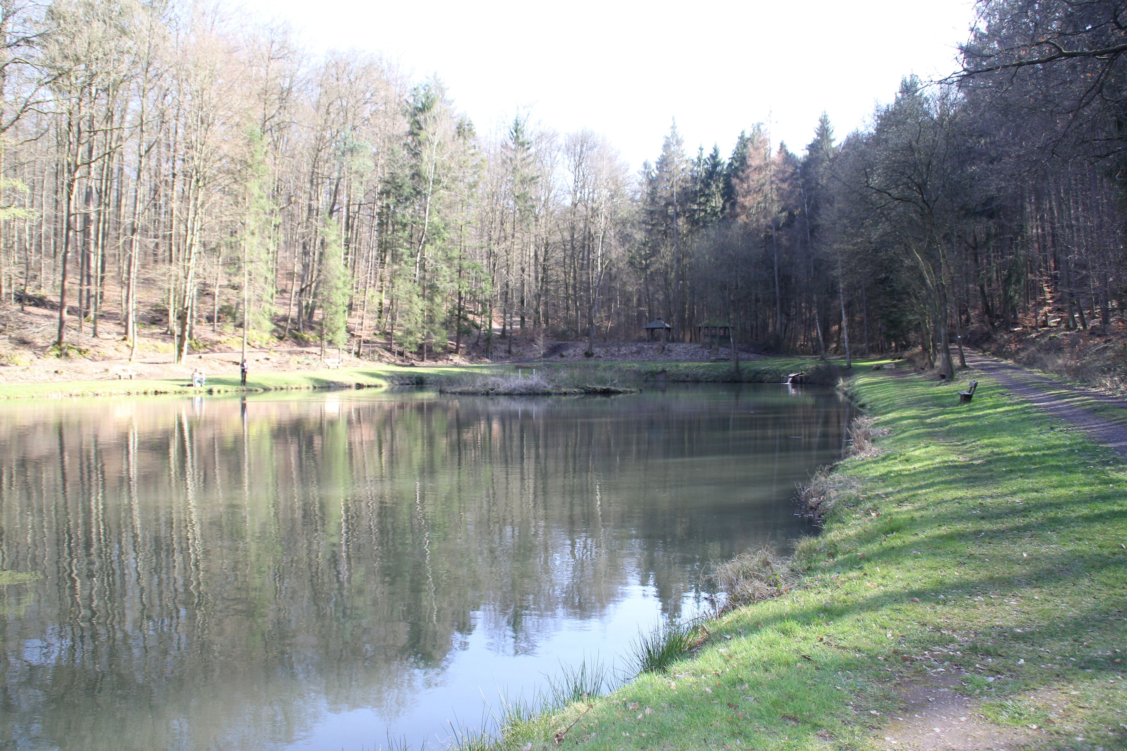 Der Gondelteich bei Freigericht im Main-Kinzig-Kreis, Hessen