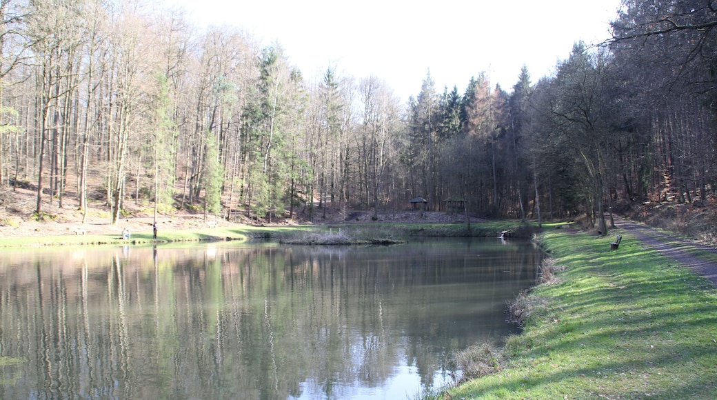 Der Gondelteich bei Freigericht im Main-Kinzig-Kreis, Hessen