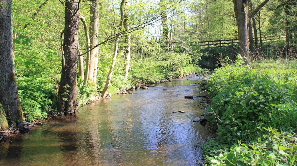 Der Geiselbach im unteren Teufelsgrund bei Hüttelngesäß, Hessen