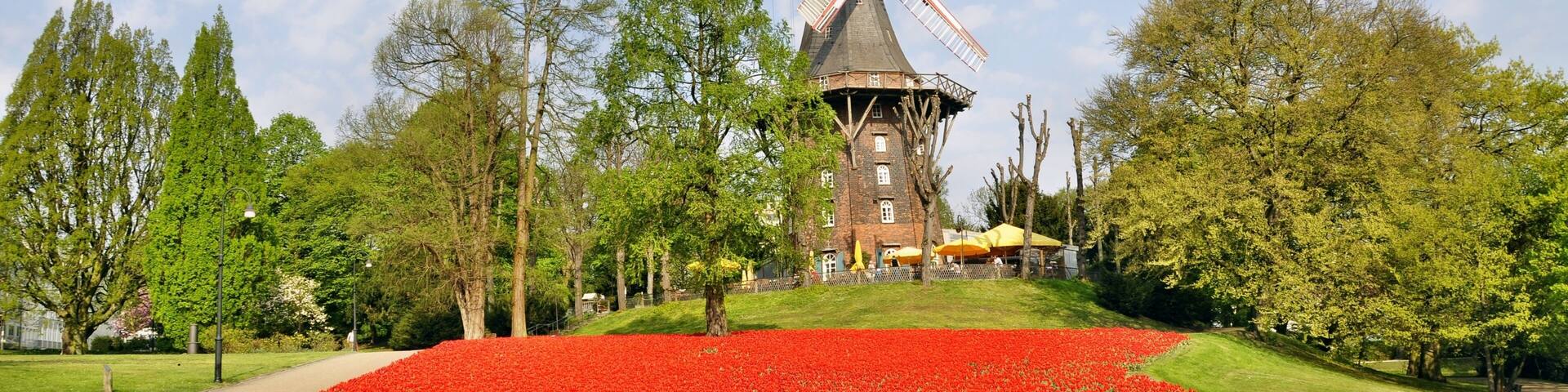 windmill