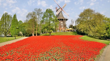 windmill