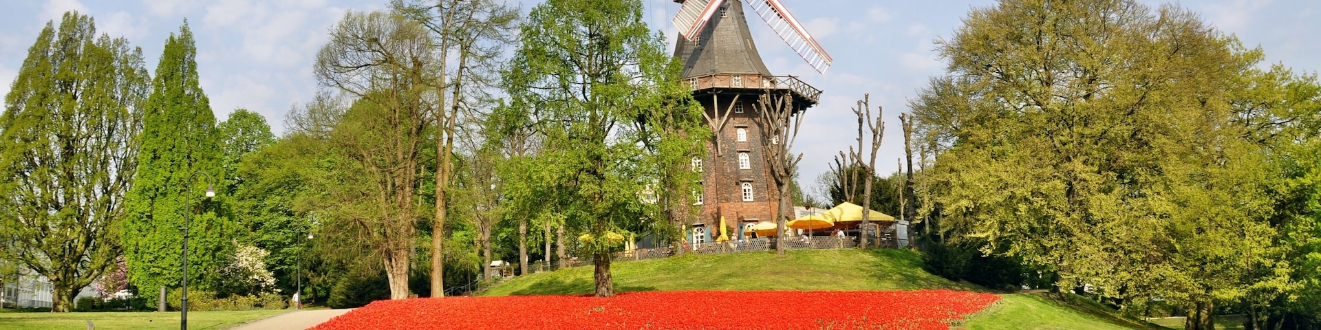 windmill