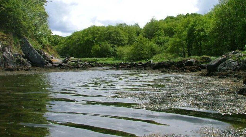 Inlet to Loch Craiglin Loch Craiglin is a tidal spur of Loch Sween which dries out at low tide.