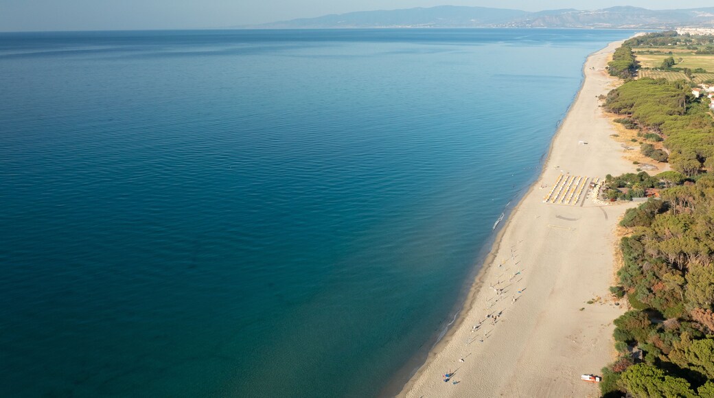 ์๋ฉ๋ฆฌ ๋ง๋ 