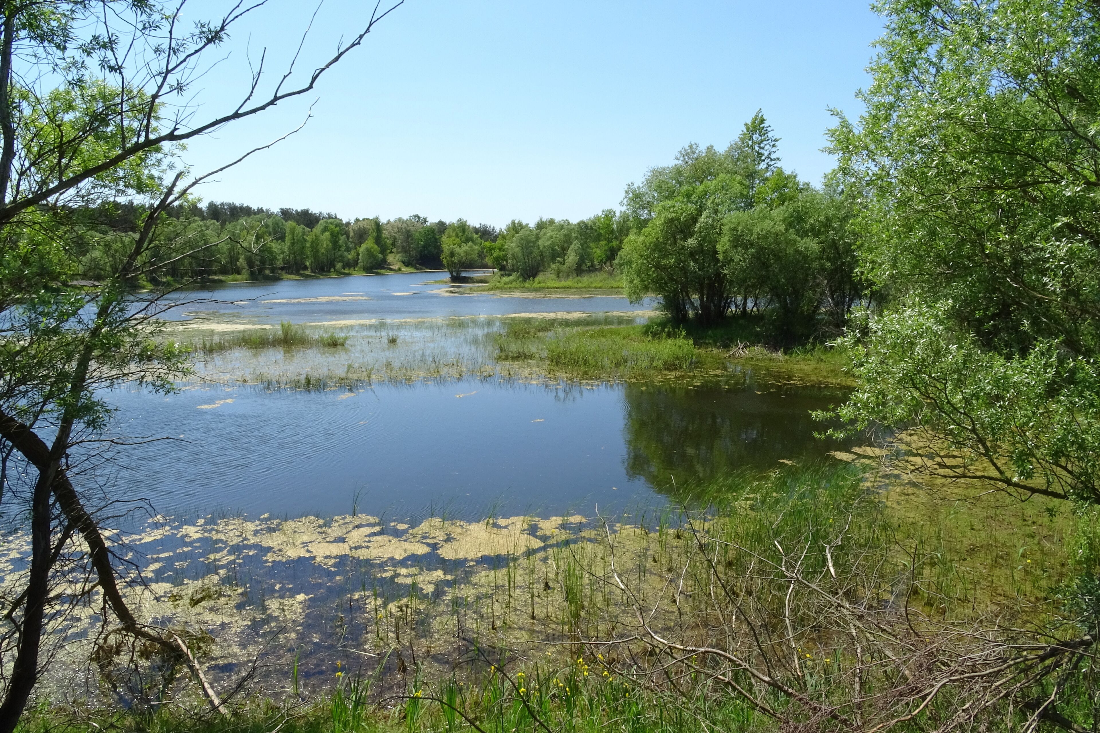 Ein durch Sandabbau entstandener See im Naturschutzbegiet Taufwiesenberge.