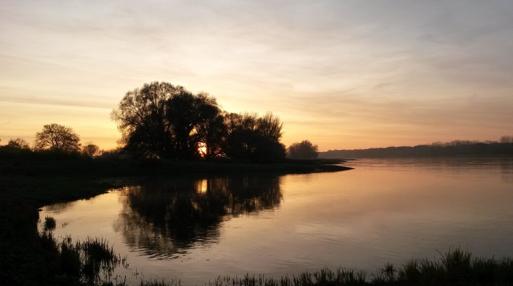 Twilight at the Elbe near Magdeburg/Hohenwarthe in the Middle Elbe Biosphere Reserve, Saxony-Anhalt (Germany)