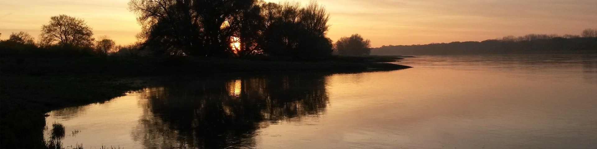 Twilight at the Elbe near Magdeburg/Hohenwarthe in the Middle Elbe Biosphere Reserve, Saxony-Anhalt (Germany)