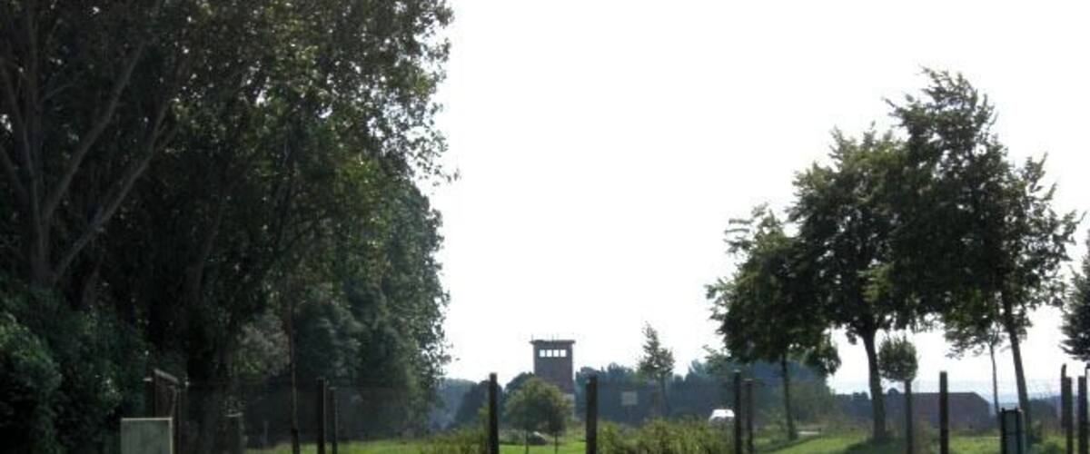 A gravel path leading to a building surrounded by trees and grass.